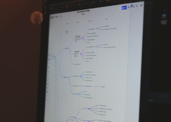 Development Schedule